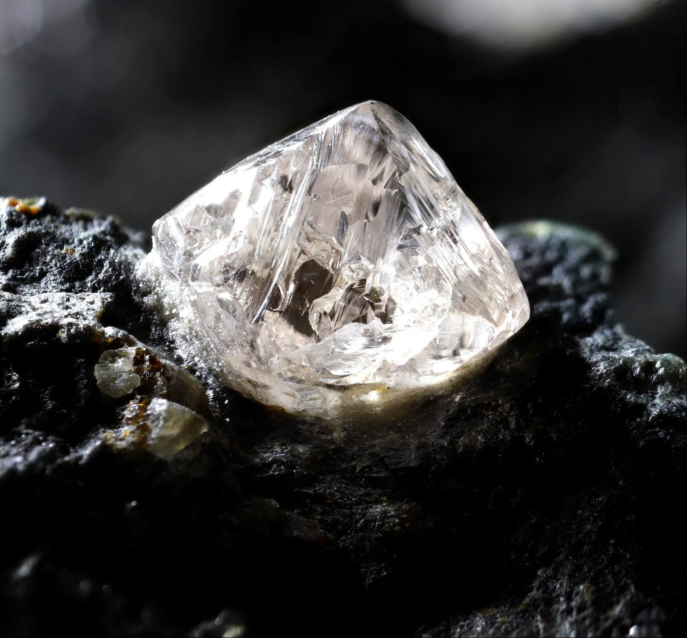 Diamond Education — Don Key